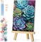 Paint by Numbers Kit with Framed - Succulent Paint by Numbers for Adults Beginner Plants DIY Acrylic Painting by Numbers Kit Colorful Paintworks Artwork, 12x16 Inch